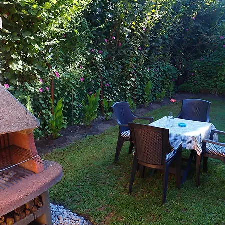 Tutijo Haziko * بالاتونفينيفيس