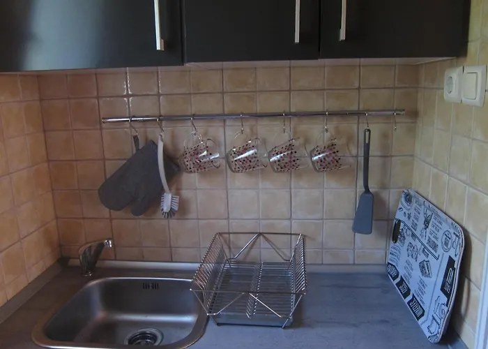 Tutijo Haziko * 鲍洛通费尼韦什